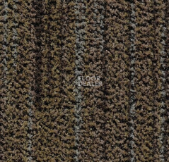 Грязезащитные покрытия Forbo Coral Brush 5764 petrified grey фото 1 | FLOORDEALER